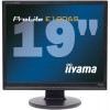 LCD monitorji IIYAMA Monitor TFT 19'' (48.3cm) IIYAMA Pro Lite E1906S-B1, črna, Audio