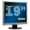 LCD monitorji IIYAMA Monitor TFT 19'' (48,3 cm) IIYAMA Pro Lite E1906S-S1, srebrn, Audio