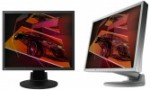 LCD monitorji EIZO Monitor TFT 19'' (48,3 cm) EIZO FlexScan S1932SE-GY, grau