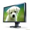 LCD monitorji EIZO Monitor TFT 22'' (55,9 cm) EIZO S2233 WFS-BK, Audio, črna