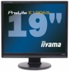 LCD monitorji IIYAMA Monitor TFT 19'' (48.3cm) IIYAMA Pro Lite E1980SD-B1, črn, Audio, LED