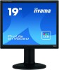 LCD monitorji IIYAMA Monitor TFT 19'' (48,3 cm) IIYAMA Pro Lite B1980SD-B1, črna, Audio