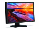 LCD monitorji NEC Monitor NEC Multisync PA241W 61cm