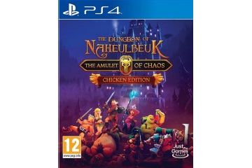 Igre  The Dungeon of Naheulbeuk: The Amulet of...