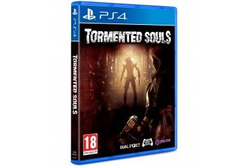 Igre PQUBE Tormented Souls (PS4)