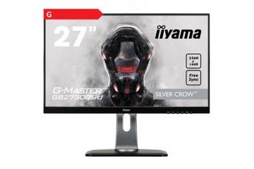LCD monitorji IIYAMA IIYAMA Silver Crow...