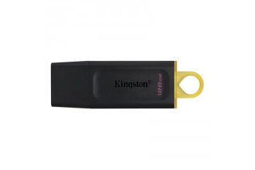  USB spominski mediji Kingston KINGSTON...