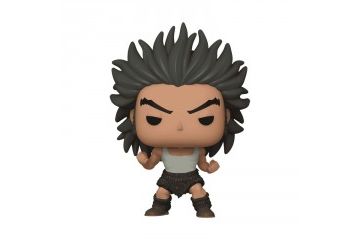 Figure Funko  FUNKO POP ANIMATION: HUNTER X...