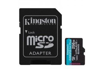 Spominske kartice Kingston  KINGSTON Canvas Go!...
