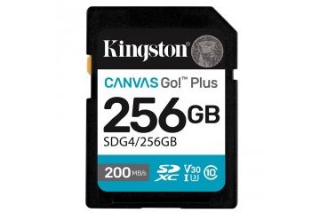 Spominske kartice Kingston  KINGSTON Canvas Go!...