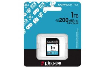 Spominske kartice Kingston KINGSTON Canvas Go!...