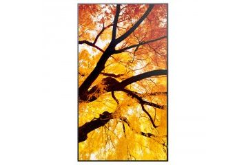 Informacijski monitorji SHARP SHARP Multisync...