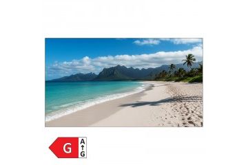 Informacijski monitorji SHARP  SHARP MultiSync...