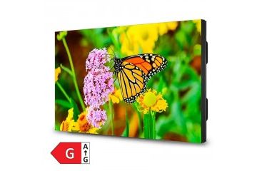 Informacijski monitorji SHARP  SHARP MultiSync...