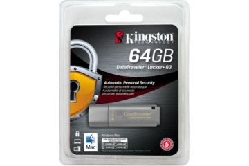 Spominske kartice Kingston  KINGSTON DTLPG3...