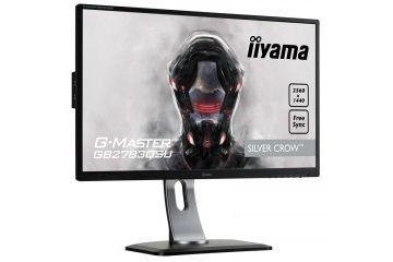 LCD monitorji IIYAMA  IIYAMA G-MASTER Silver...