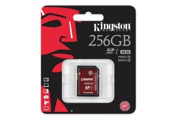 Spominske kartice Kingston  KINGSTON SDHC 256GB...