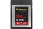 Spominske kartice SanDisk  SANMC-256GB_CF