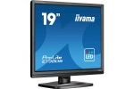 LCD monitorji IIYAMA IIYAMA ProLite E1980S-B1...