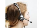 Slušalke Logitech LOGITECH H111 sive...