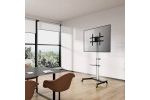 LCD monitorji Manhattan MANHATTAN 37' do 86'...
