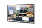 LCD monitorji NEC  NEC MultiSync X841UHD...